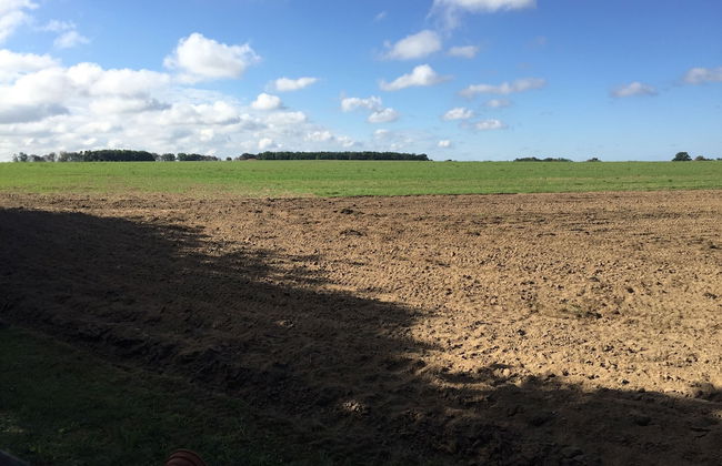 Ferienhaus Mirow-Lärz - Kamin Wald Ruhe - Foto 44