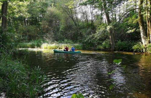 Mazurska Knieja - Foto 39
