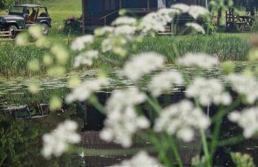 Domek nad Stawem - Foto 13