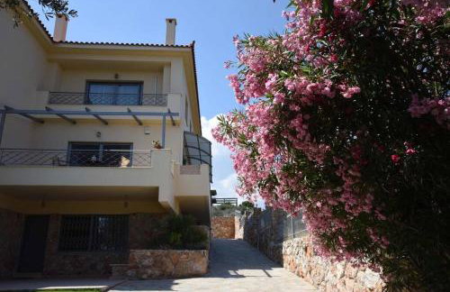 Seaside Villa AndroNikos (Evia Island) - Foto 37