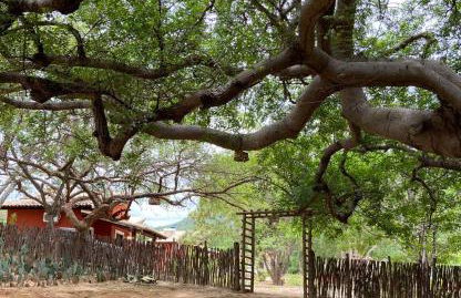 EcoPousada Pico do Jabre - Photo 27