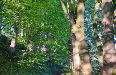 Unbox at Poplar Tree - Photo 80