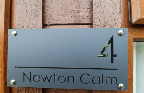 Newton Calm - Foto 3