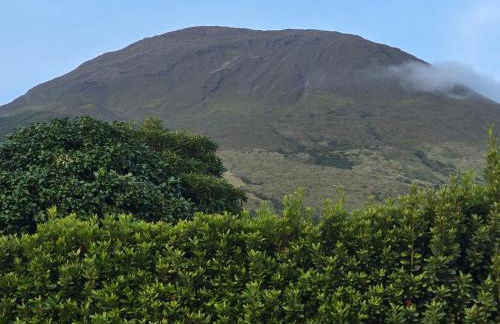 Vista Pico House - Foto 19