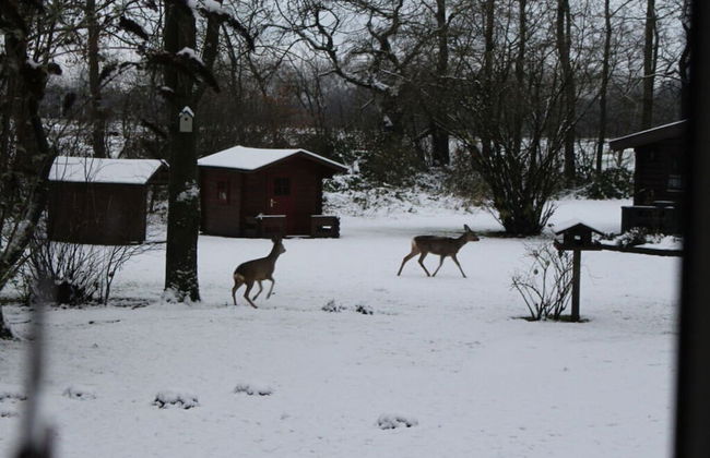 Elke Luthje Modern Retreat - Foto 30