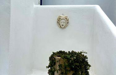 Tinos apartments Zalonis - Foto 14