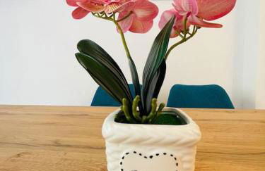 Maddy house - 50 mt dal mare - Foto 9