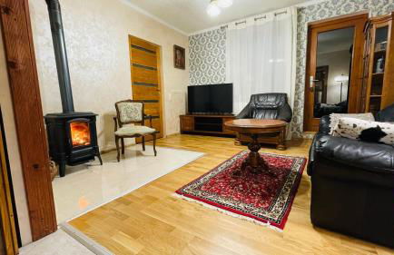 Gemütliches Apartment mit Kamin und Wohnküche - Foto 3