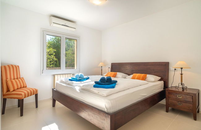 Orquidea 34 - Photo 16