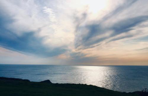 Petrock Holiday Cottages - Foto 41