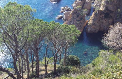 Apartamento Victor - Foto 29