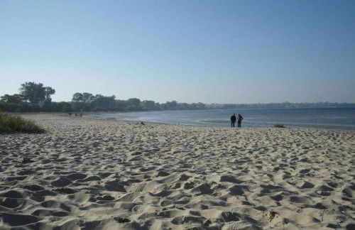 Steinbeck in the Thorstorf estate barn - Foto 26