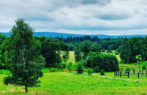 Maja Pokoje z Widokiem - Foto 24