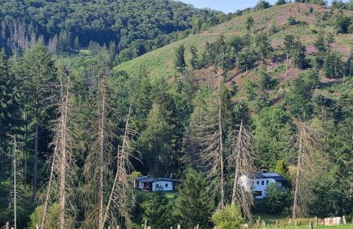 Explorer's Lodge & Camping - Foto 45