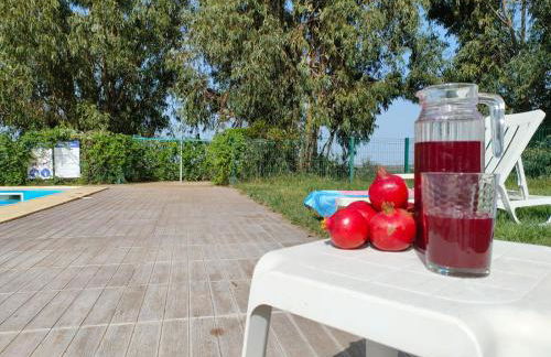 Monte Beato - Foto 43