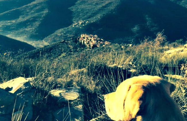 Panoramic Townhouse Casa del Borgo - Photo 65