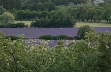 La tour de Grignan - Foto 34