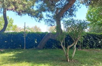 RosMarino_Appartamento Fronte Mare - Foto 22