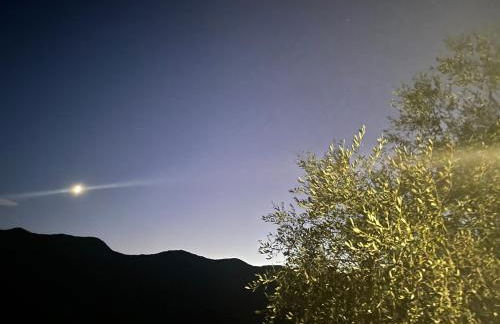 Casa di nonno Memé CITRA 008035-LT-0018 - Photo 73