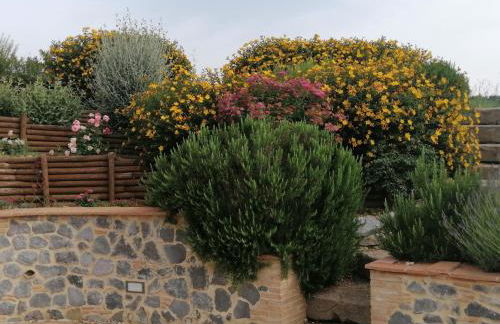 Podere del Papa - Photo 34