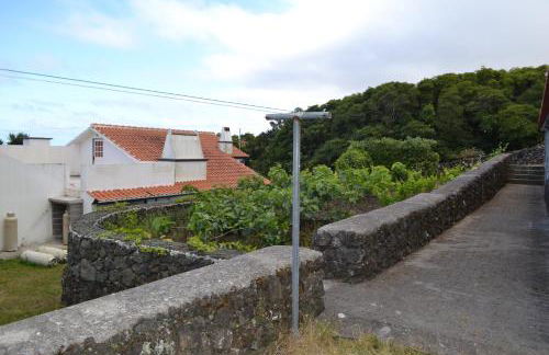 Adega Mendes - Photo 11