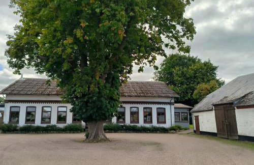 Storchenblick in Sieverstedt - ebenerdige FeWo in ruhiger Umgebung - Foto 22