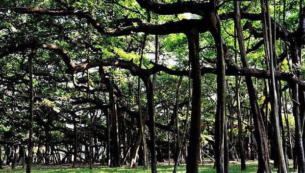 Bangalore City Tour - Tour Privado de Meio Dia - Foto 2