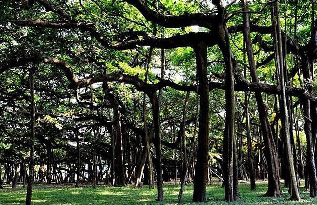 Bangalore City Tour - Tour Privado de Meio Dia - Foto 2