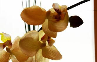 Lehmgefühl, Design Vier, La Petite Maison - Foto 62