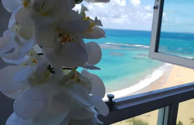 Breezy Beachfront apt. View of Paradise - Photo 14