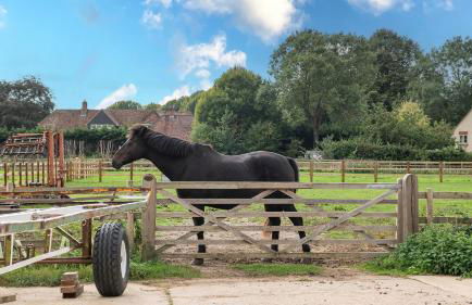 The Long Barn - Foto 14