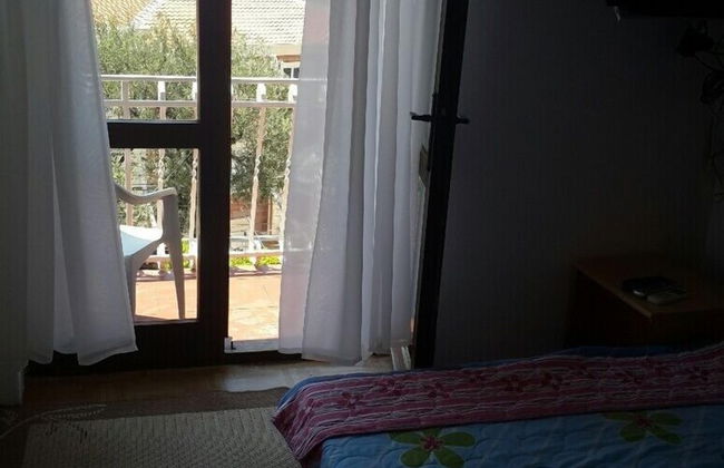 Apartments Andjus - Foto 16