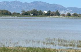 REQUESENS Playa - Foto 74