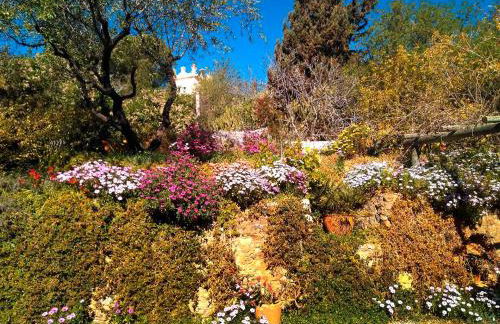 Casa Champasak - Foto 50