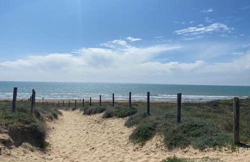 Les ptits marins cordés - Photo 6