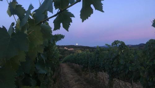 Teruzzi Country House - Foto 3