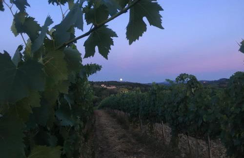 Teruzzi Country House - Foto 3