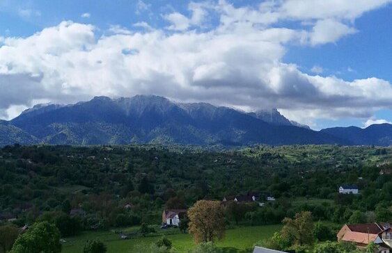 Vino Chalets - Foto 46