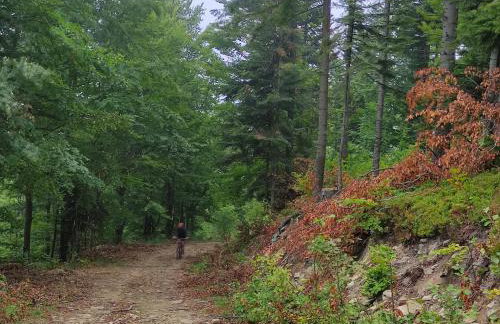 Apartament BESKIDLOVE - Foto 36