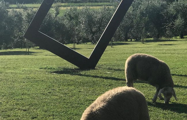 Casa Rossa ai Colli - Photo 46