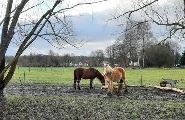 Annemarie Zerpenschleuse - Schwedenhaus mit Künstler-Charme und Sauna - Photo 22