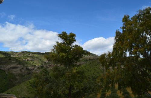 Mount Tatum - Foto 15