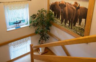 Maniówka - pokoje i domki w Bieszczadach - Foto 9