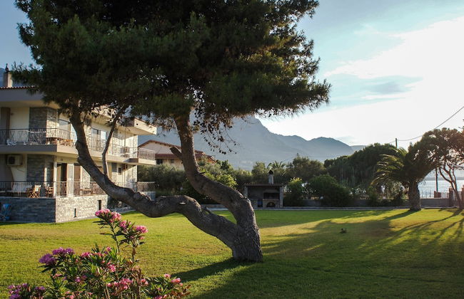 Punda 4 Seasons - Foto 51