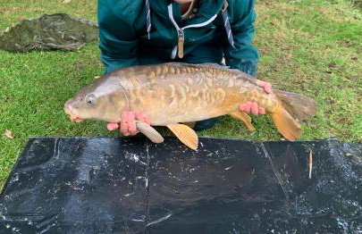 Cornish Crantock Holiday Sandy Toes - Foto 15