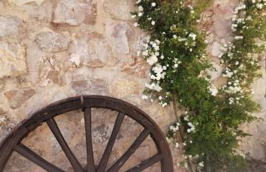 Jas de Marripey - Foto 8