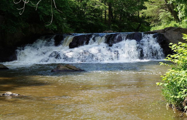 The Cabins at Healing Springs - Foto 60