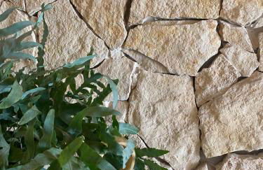 CasadiCampo - Foto 64