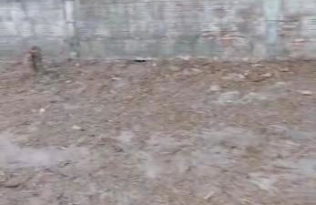 Casa de sítio - Photo 6