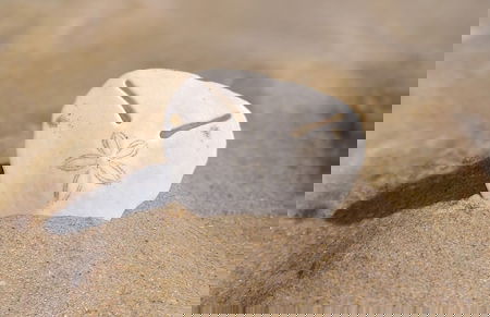 Sunset Villa - Luxury Beachfront Villa with Private Pool by Karula Sand Villas - Foto 32